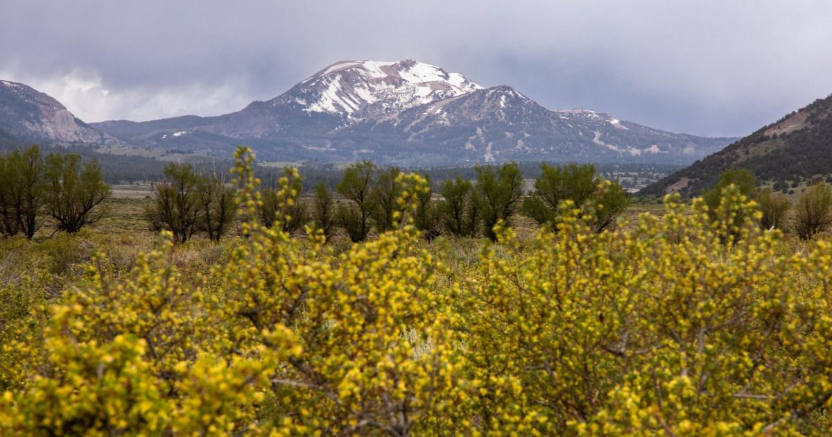 Why You Should Visit Mammoth Lakes in Spring
