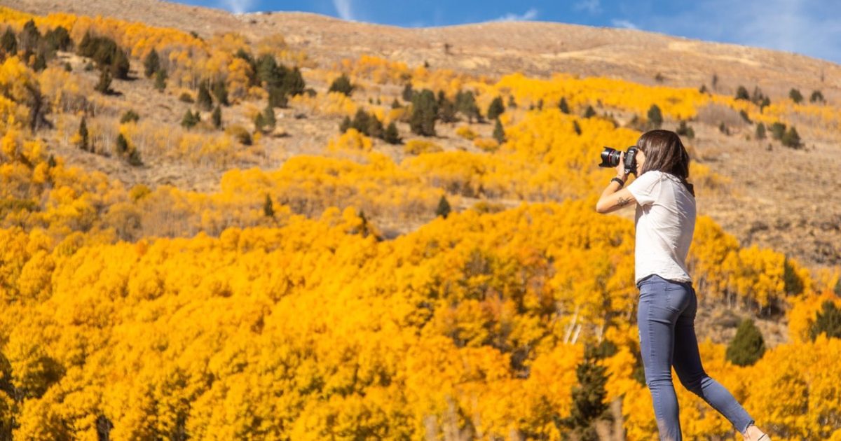 Local's Guide to a Fall Getaway in Mammoth Lakes