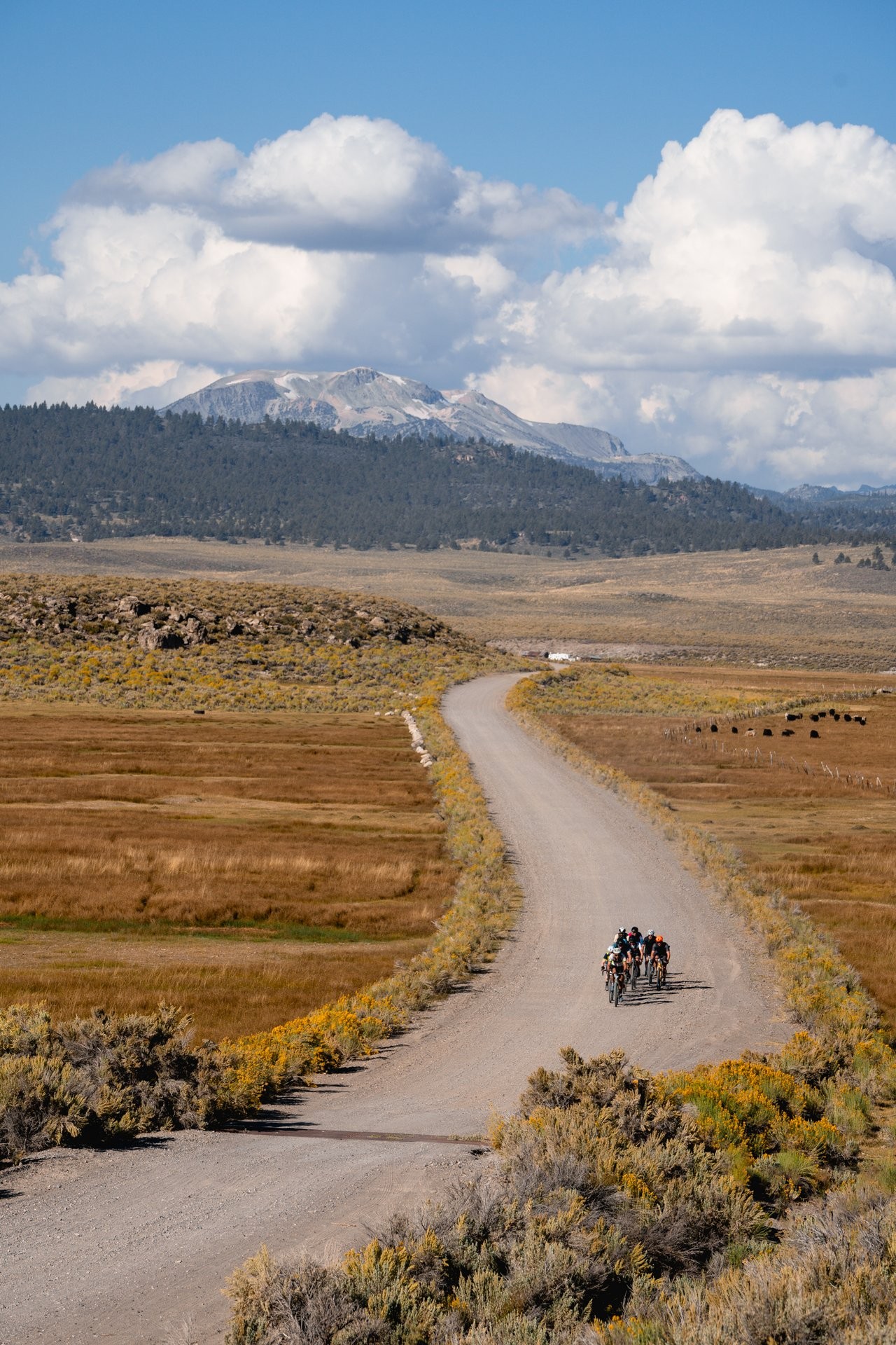 Mammoth Lakes Fall Endurance 2026 | Visit Mammoth